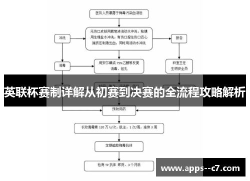 英联杯赛制详解从初赛到决赛的全流程攻略解析