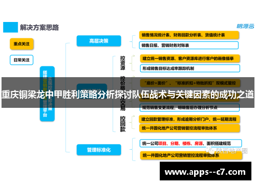 重庆铜梁龙中甲胜利策略分析探讨队伍战术与关键因素的成功之道