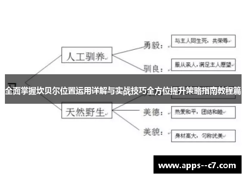 全面掌握坎贝尔位置运用详解与实战技巧全方位提升策略指南教程篇