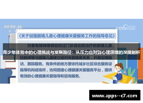 青少年体育中的心理挑战与发展路径：从压力应对到心理困境的深度剖析