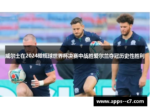 威尔士在2024橄榄球世界杯决赛中战胜爱尔兰夺冠历史性胜利