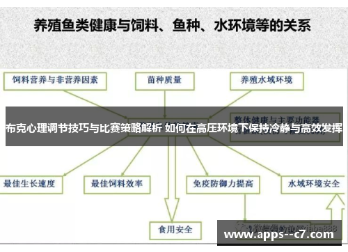 布克心理调节技巧与比赛策略解析 如何在高压环境下保持冷静与高效发挥