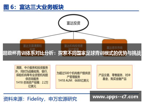超级杯青训体系对比分析：探索不同国家足球青训模式的优势与挑战
